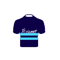 cylimetrics